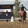 Манежная езда в троеборье: неизбежная рутина или фундамент победы?