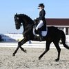 Екатерина Мельник стала чемпионкой России по выездке среди юниоров
