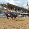 7 августа на ЦМИ состоится Чемпионат наездников и жокеев Средиземного и Чёрного морей