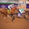 Arrogate выиграл скачку Breeders’ Cup Classic. 