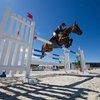 Чемпионат Европы по конкуру для детей, юношей и юниоров в Шаморине