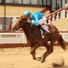 На ЦМИ прошли скачки на приз Арагвы.