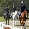 Эклектика национальных подходов. Часть II