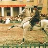 Государство и коннозаводство: Фрунзенский манеж
