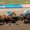 На Ростовском ипподроме разыграли Кубок Н.Н.Насибова