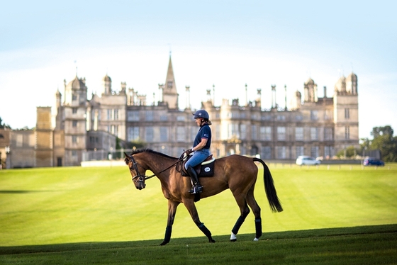 Фаннел Пиппа. Феномен Фаннел