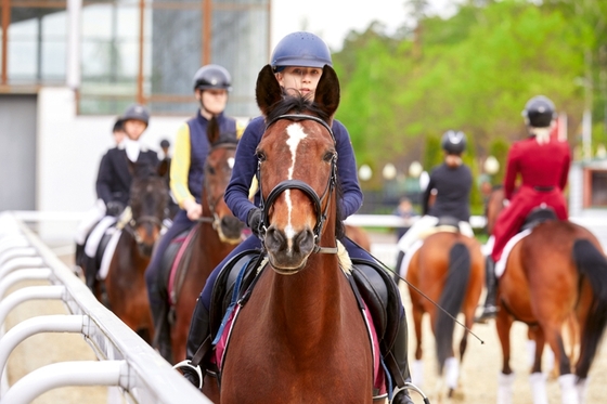 Учат в школе?