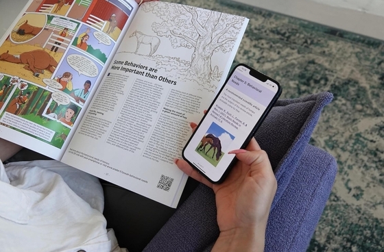 Им нужны картинки: комикс о лошадях стал главным учебником для конников Финляндии