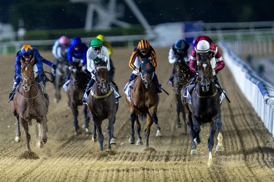 Скачки несмотря ни на что