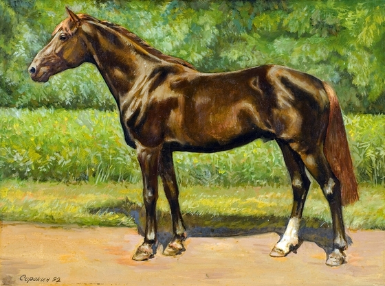 1.57,2: Секунды, застывшие в вечности