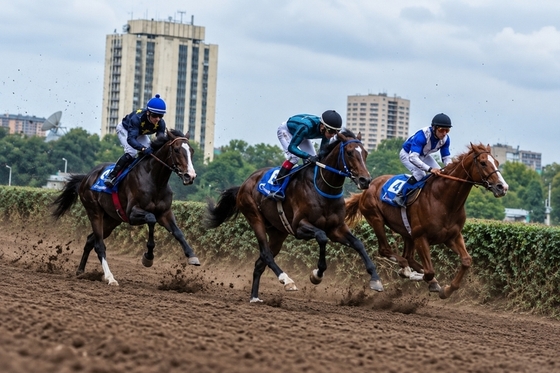  Ростовский ипподром готовят к полноценному скаковому сезону