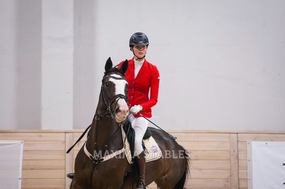 Праздничный конкур в Maxima Stables!