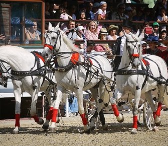 На МКЗ №1 пройдёт юбилейный V Чемпионат русских троек «Крылатое сердце России»