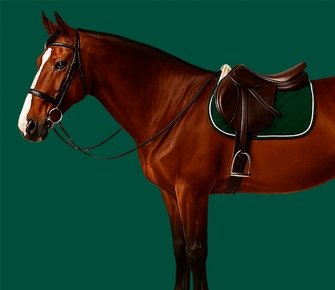 Навстречу серьезным отношениям