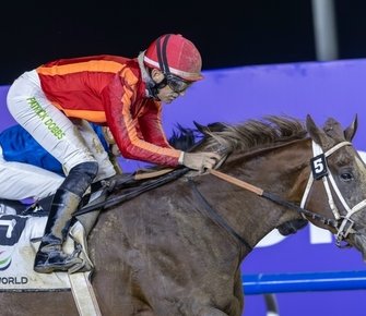 «Русские сезоны» в Дубае