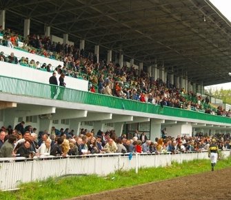 Прокуратура Ростовской области вступилась за землю ипподрома в споре с застройщиком