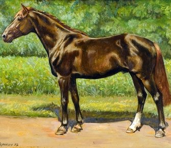 1.57,2: Секунды, застывшие в вечности