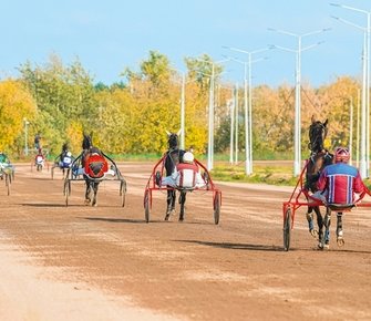 Рекорды и несчастья запасного ипподрома