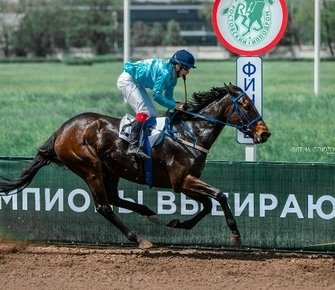 На ростовском ипподроме прошли скачки в закрытом формате
