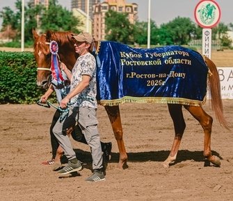 Кубок Губернатора вернул зрителей на Ростовский ипподром