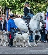 В ветеринарной академии имени К. И. Скрябина отметили День знаний!