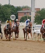  Кубок Губернатора разыграли в Краснодаре