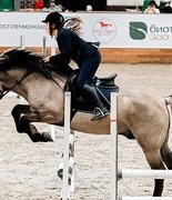 Вятка – спортивная лошадка?