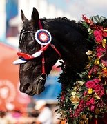 Победила липецкая «Дружба»