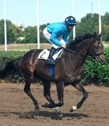 Ростовский ипподром объявил о старте скакового сезона-2026