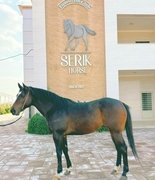 Конфискация по-ирански