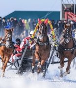 Владимир Мединский предложил сделать русскую тройку национальным видом спорта