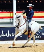 Чемпионат мира по Working Equitation