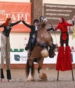 «Цирк с конями» и не только