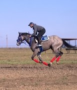  В Кунбатаре пройдут праздничные скачки