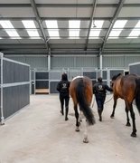 В Великобритании создали EQUISS для защиты людей в конной индустрии